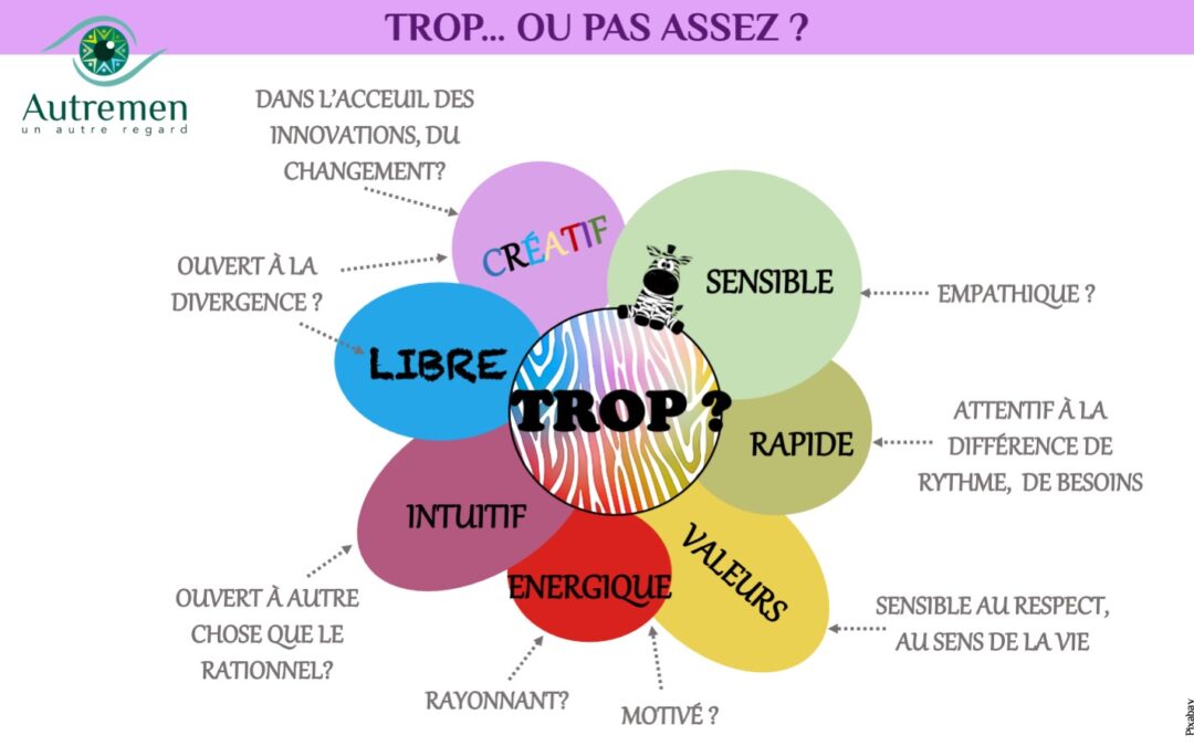 Un  Autre Regard sur les critiques faites aux atypiques