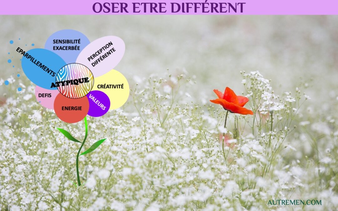 Un #AutreRegardHPI sur le « Syndrome du grand coquelicot »