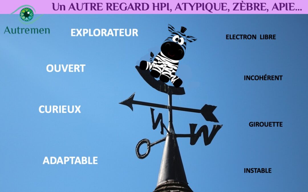 Un #AutreRegard sur les girouettes atypiques