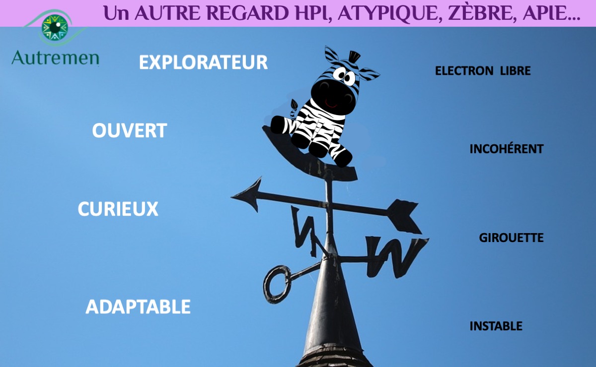C-neuro-atypique10
