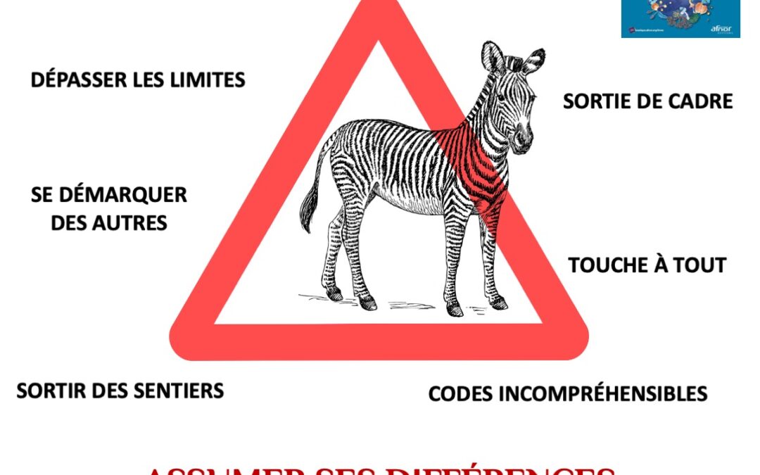 Un #AutreRegard sur les zèbres atypiques