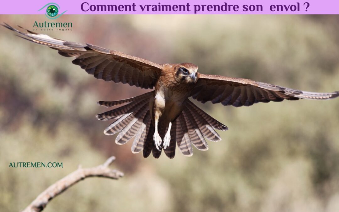 Comment vraiment prendre son envol?