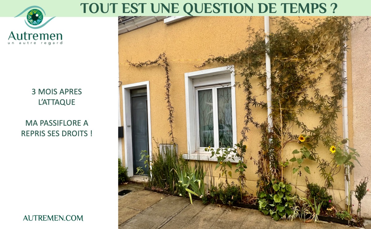 prendre son temps
