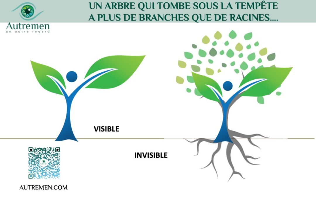 Avez-vous des racines solides ?