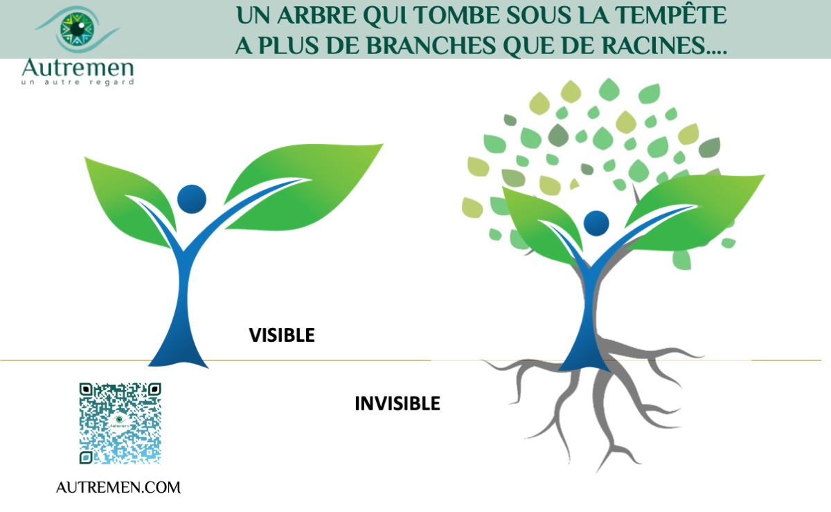 Avez-vous des racines solides ?