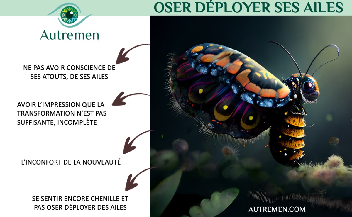 coaching de transformation professionnel