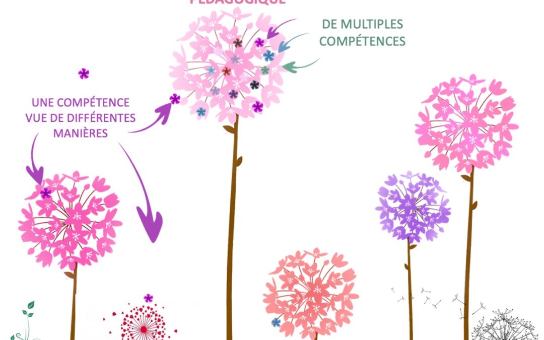 Vous avez déjà essayé la pédagogie intégrative ?