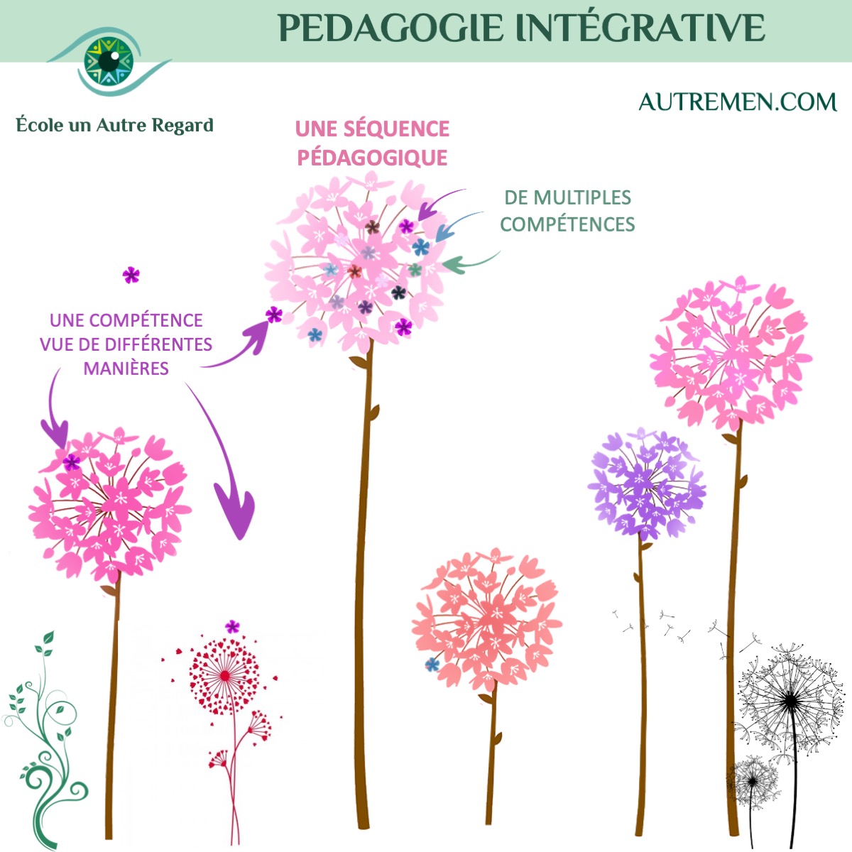 la pédagogie intégrative pour devenir coach professionnel performant