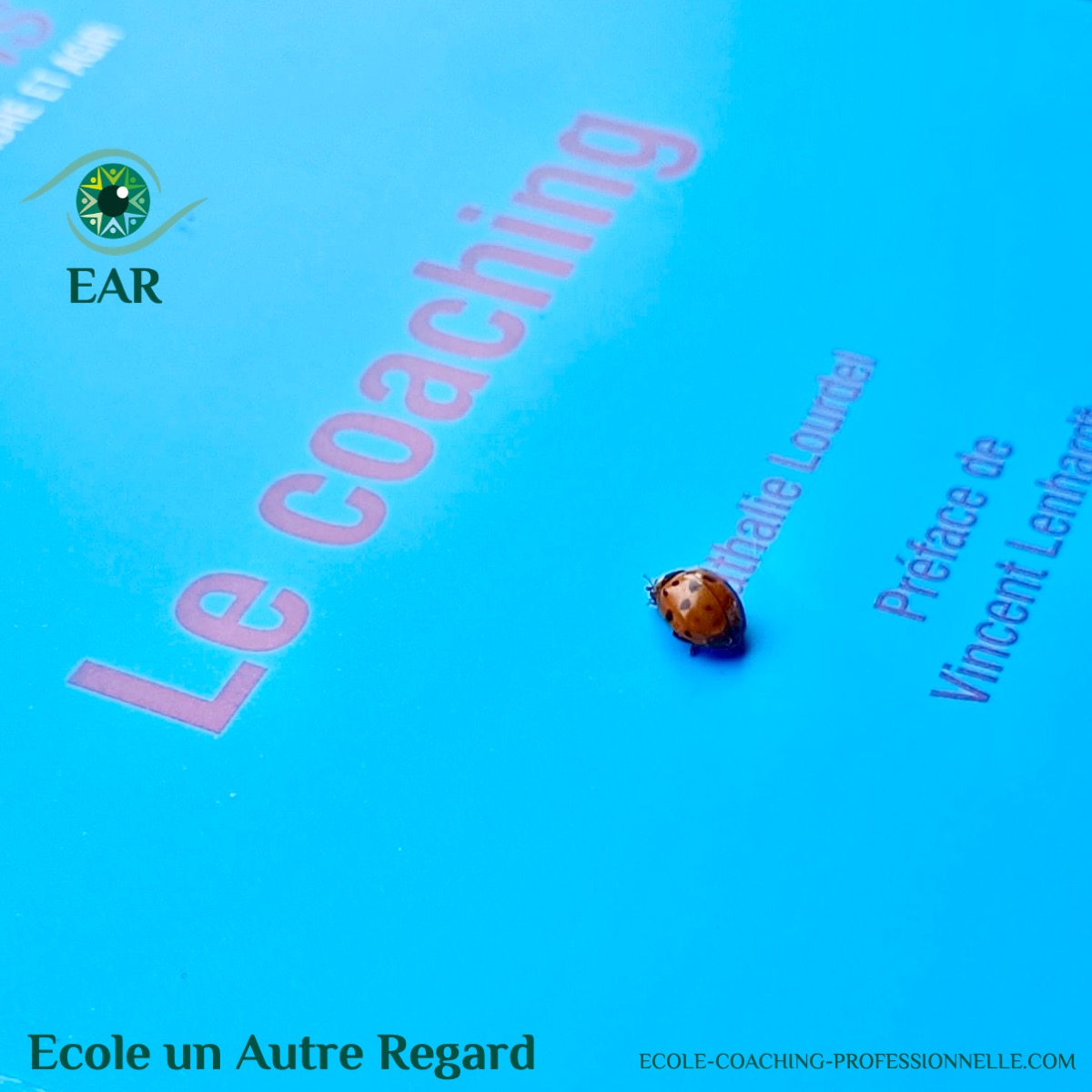 Une coccinelle sur mon livre le COACHING