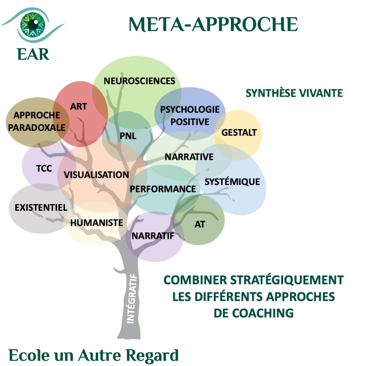 meta analyse du coaching