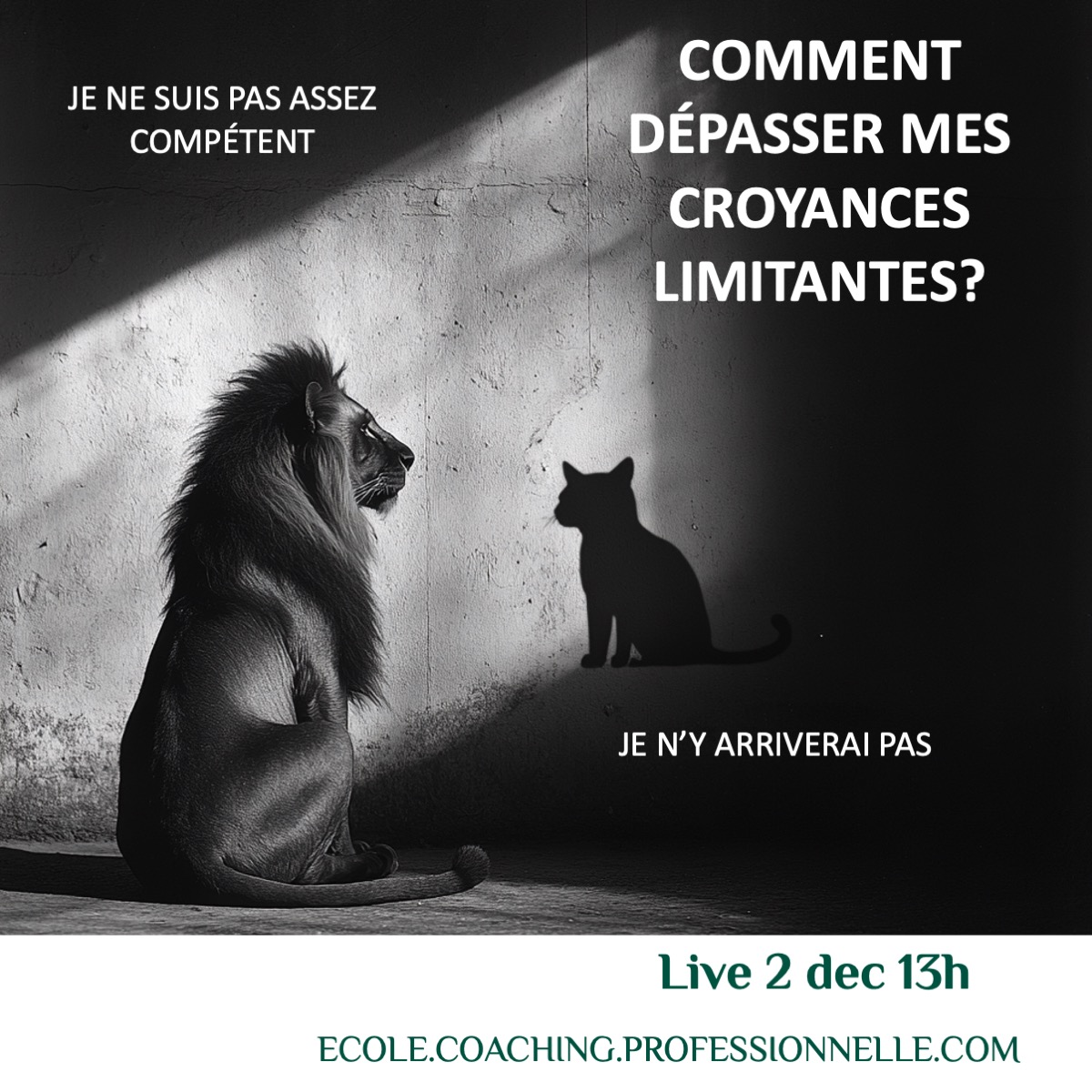 C'est quoi une croyance limitante ? C'est une vérité que tu as décidée sur toi-même qui n'existe que dans ta tête.
