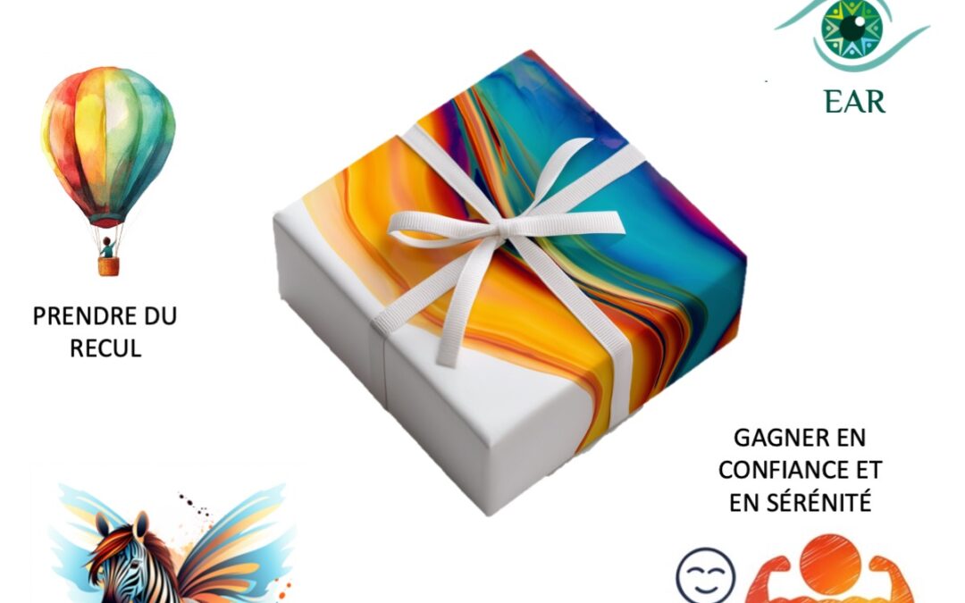Envie d’un cadeau de Noël différent ?