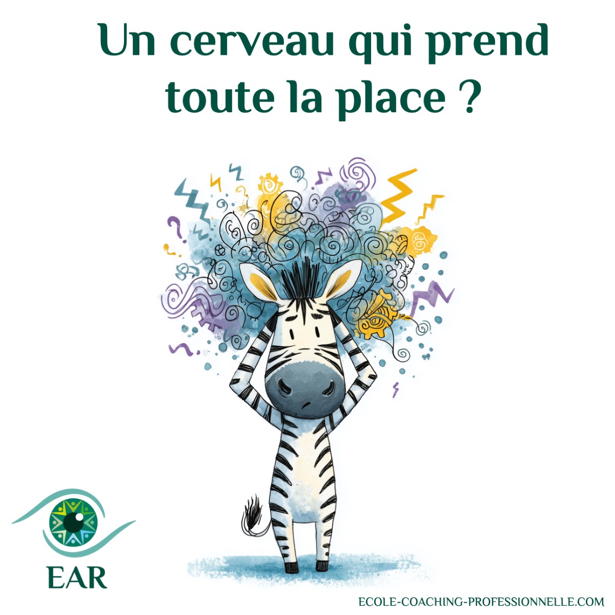 Un cerveau qui prend toute la place?