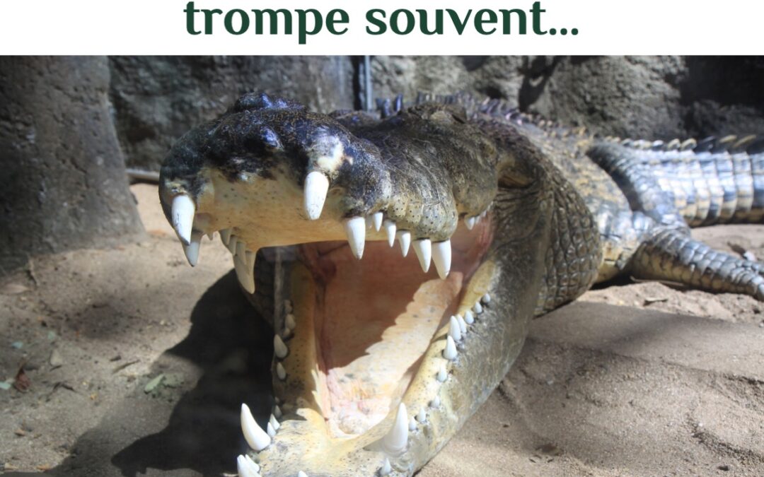 Évaluer un risque commence par poser les bonnes questions.